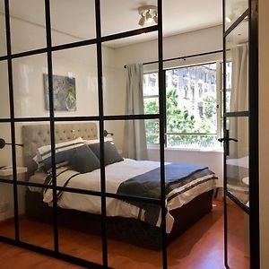 Beautiful Bright Cozy Apartment - Great Location